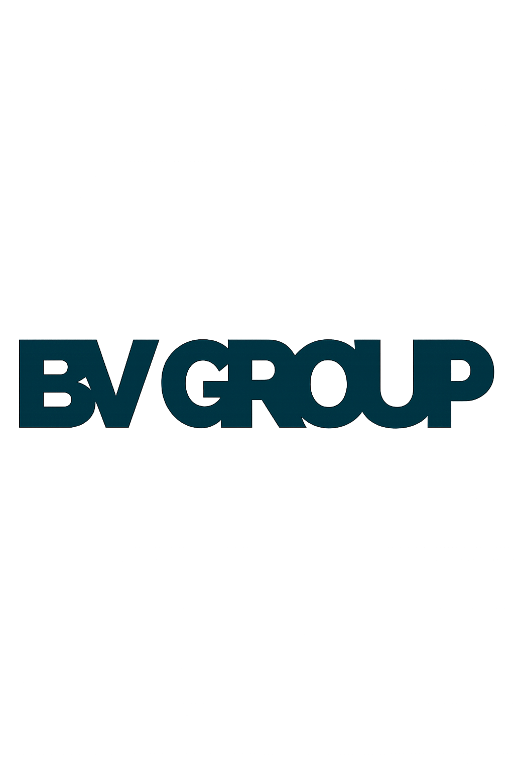 BV Group
